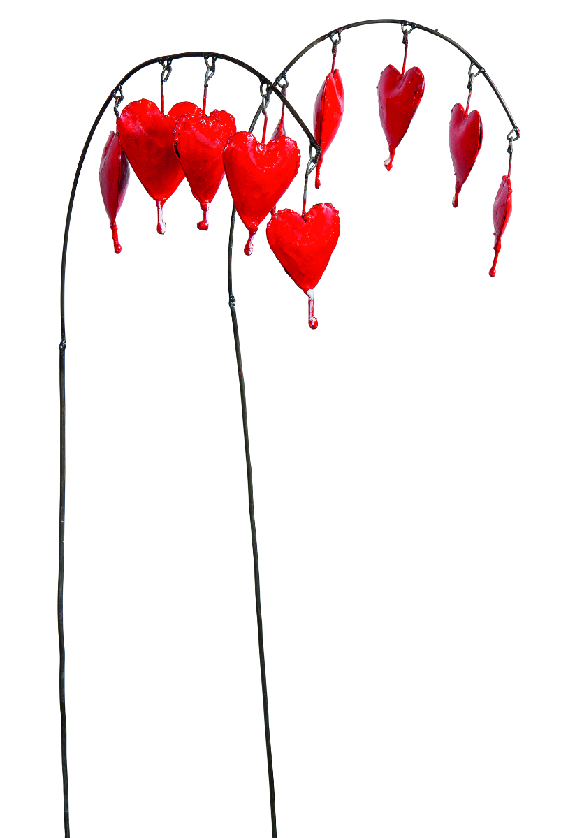 Tuinsteker Bloemenset hartbloemen - 2 stuks