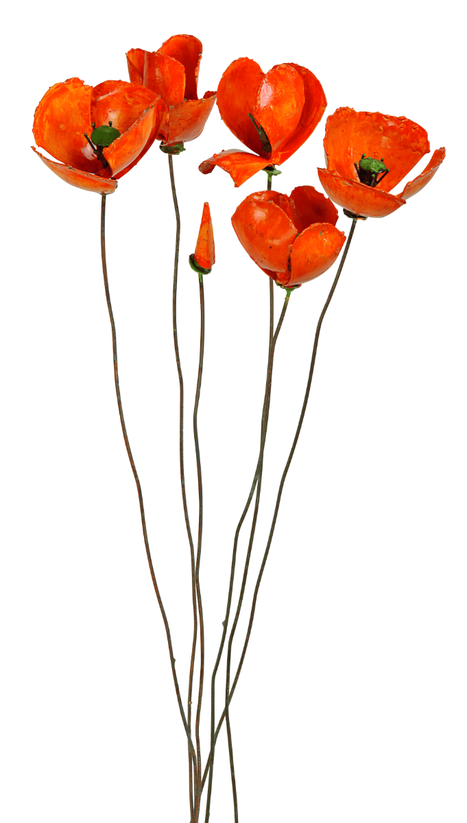 Tuinsteker Bloemenset oranje klaproos - 6 stuks