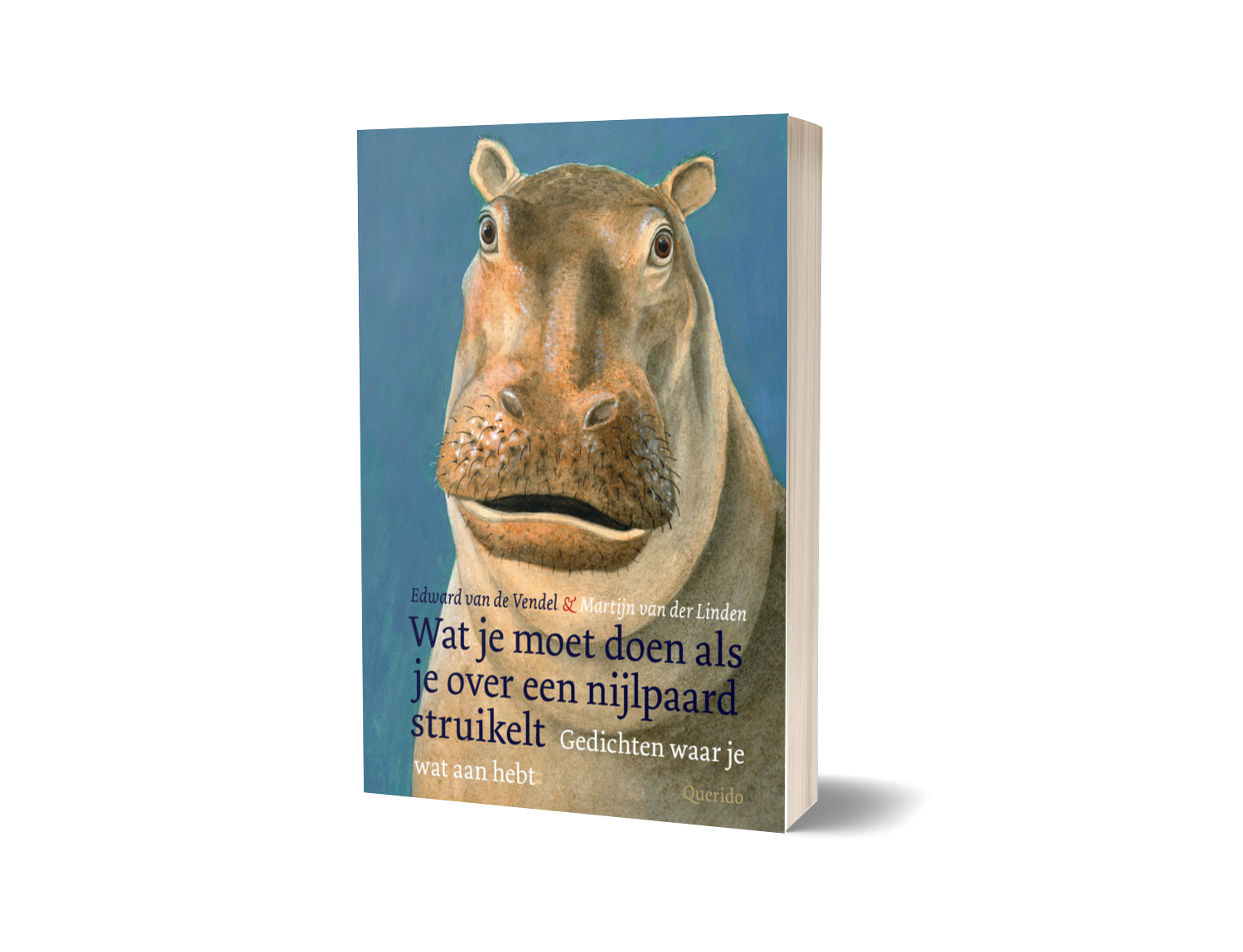 Wat je moet doen als je over een nijlpaard struikelt