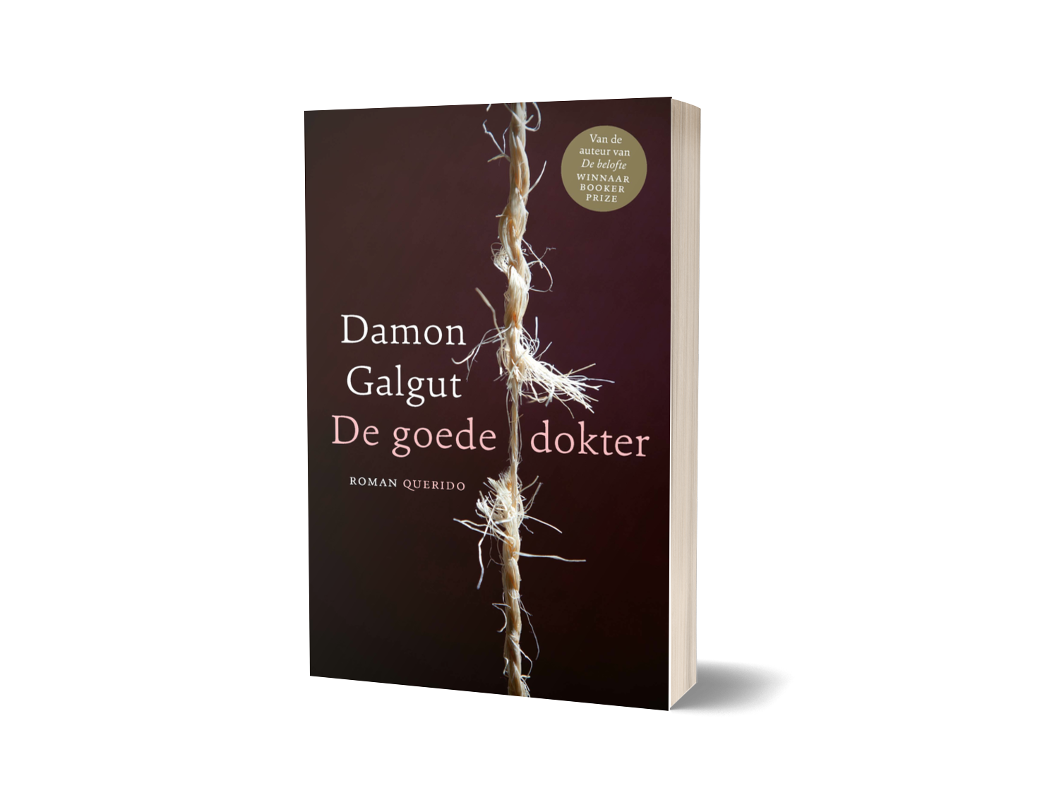 De goede dokter