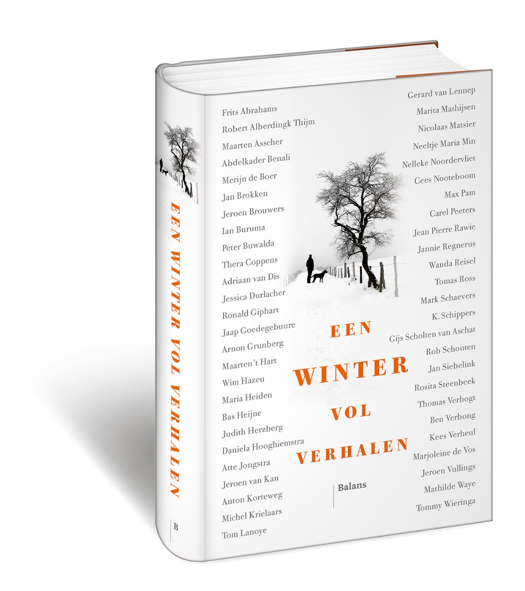 Een winter vol verhalen