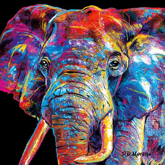 PD Moreno schilderij - Olifant (80 x 80 cm)