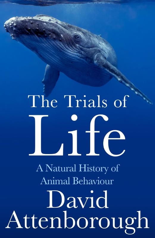 The Trials of Life
