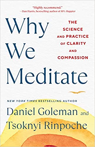 Why We Meditate
