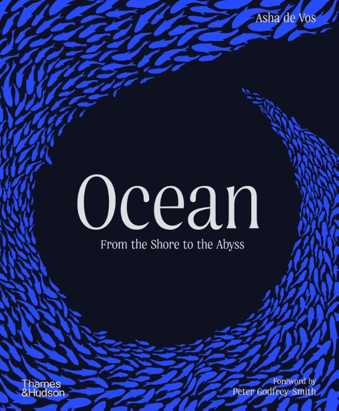 Ocean