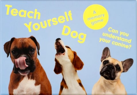 Teach Yourself Dog