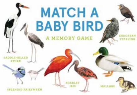 Match a Baby Bird
