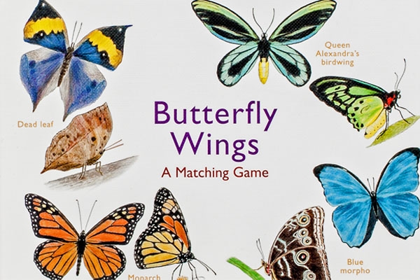 Butterfly Wings