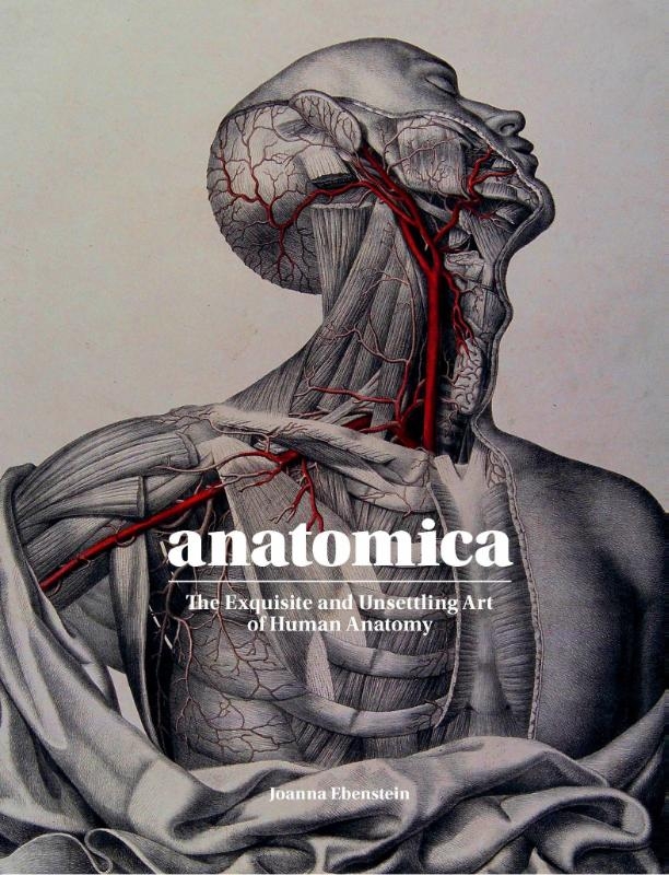 Anatomica