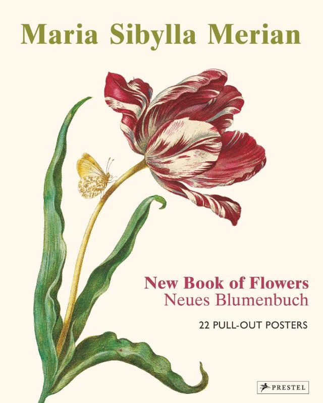 Maria Sibylla Merian