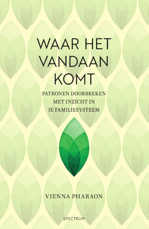 Waar het vandaan komt