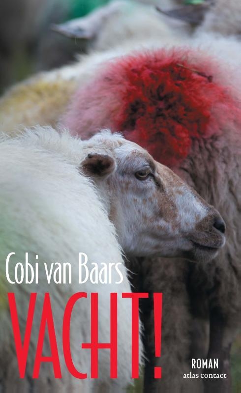 Vacht!