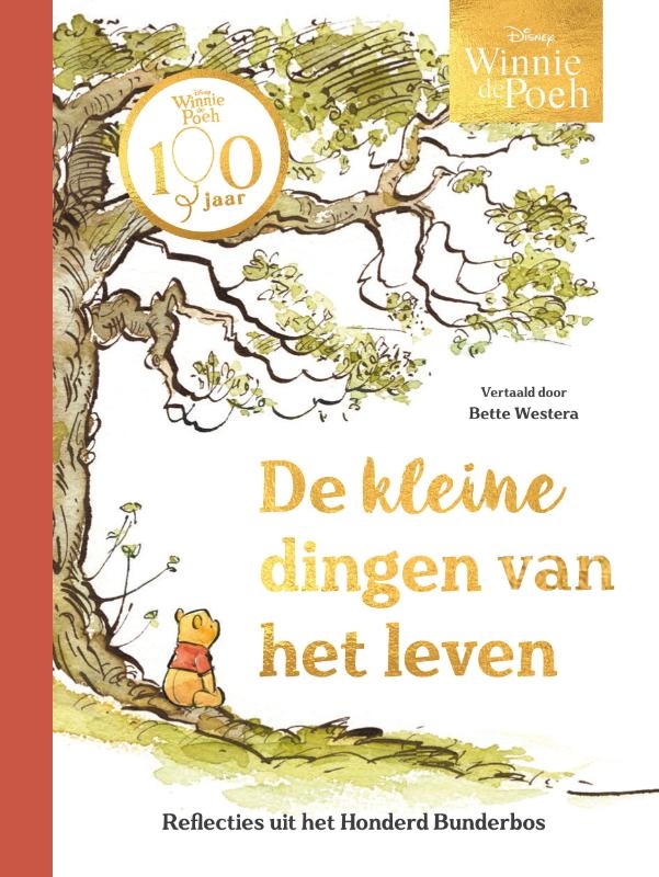 Winnie de Poeh. De kleine dingen van het leven