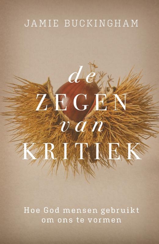 Zegen van kritiek, De