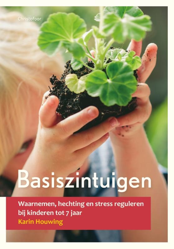 Basiszintuigen