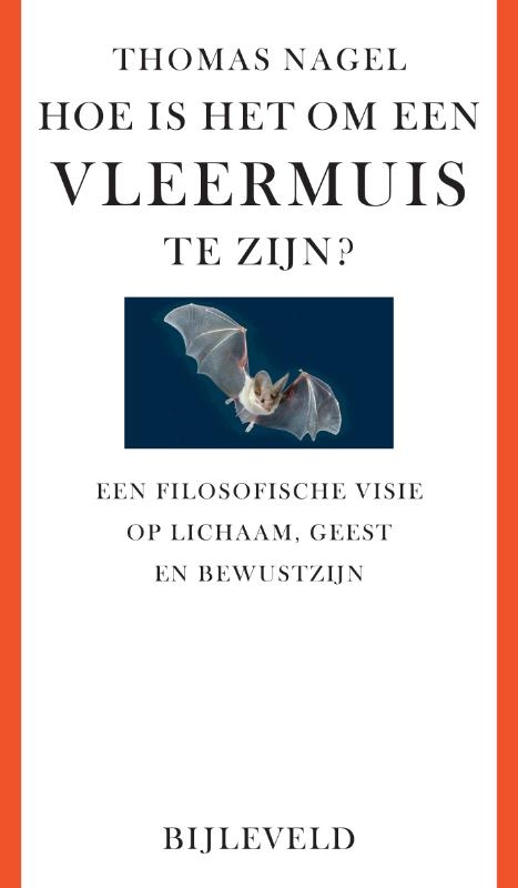 Hoe is het om een vleermuis te zijn?
