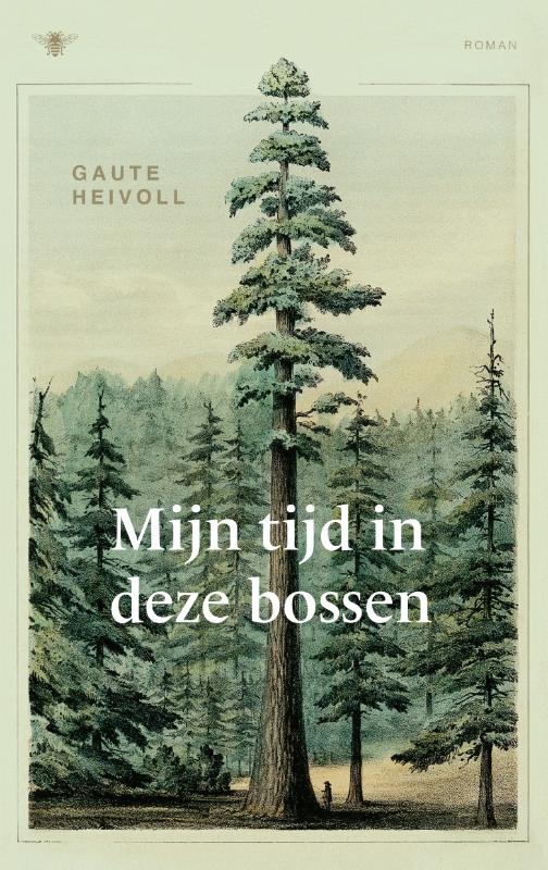 Mijn tijd in deze bossen
