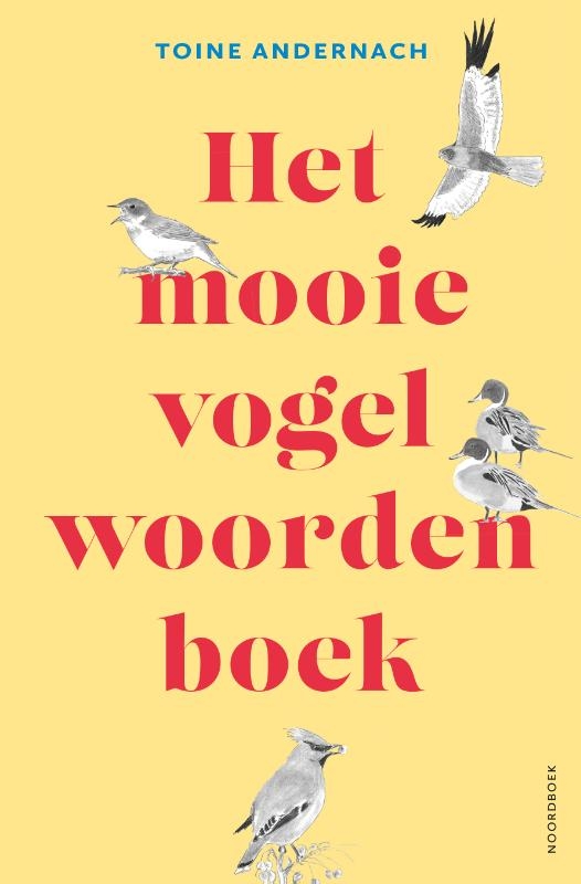 Het mooie vogelwoorden boek