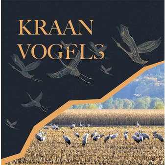 Front cover Front cover