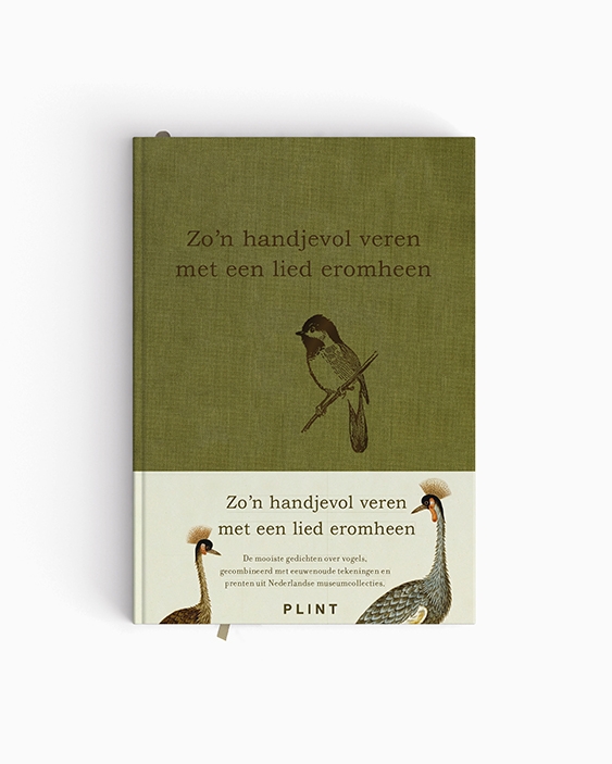 Zo'n handjevol veren met een lied eromheen