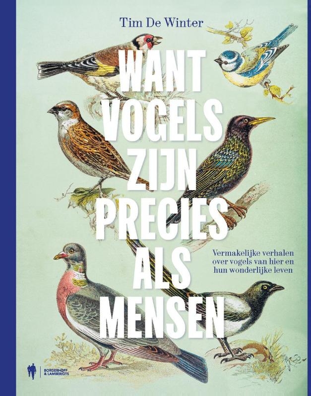 Want vogels zijn precies als mensen