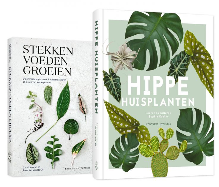 Hippe Huisplanten + Stekken, voeden, groeien