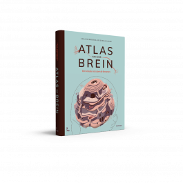 Atlas van ons brein