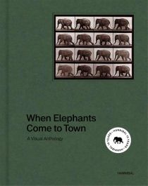 When Elephant Come to Town