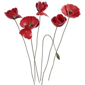 Bloemenset poppy - set van 6