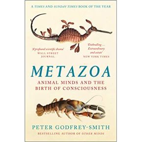 Metazoa