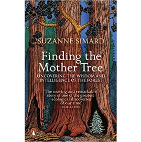 Finding the Mother Tree