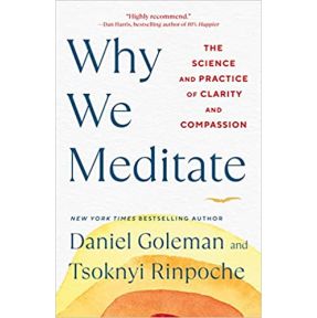 Why We Meditate