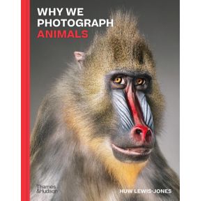 Why We Photograph Animals