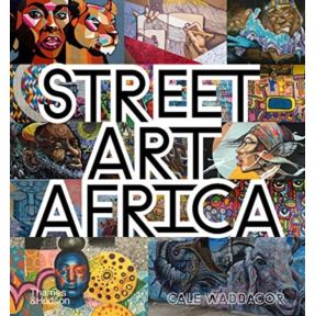 Street Art Africa