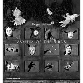 Asylum of the Birds