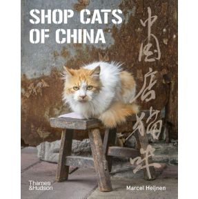 Shop Cats of China