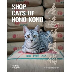 Shop Cats of Hong Kong