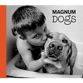 Magnum Dogs