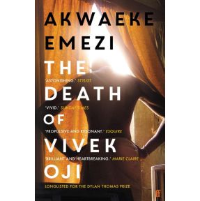 The Death of Vivek Oji