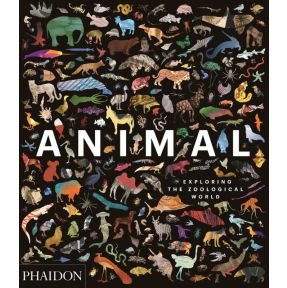 Animal: Exploring the Zoological World