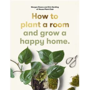 How to plant a room