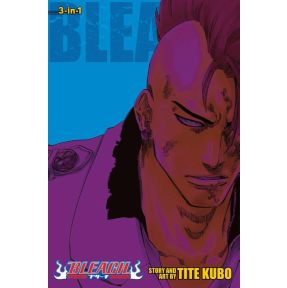 Bleach (3-in-1 Edition), Vol. 23