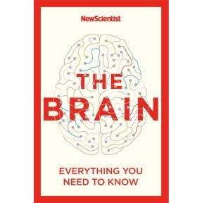 The Brain