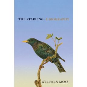 The Starling