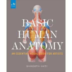 Basic Human Anatomy