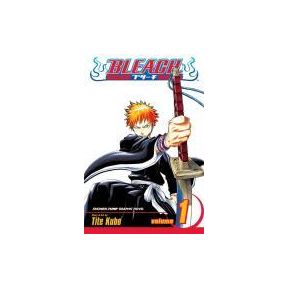 Bleach, Vol. 1