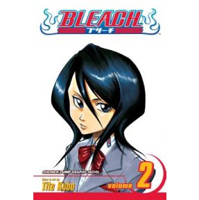 Bleach, Vol. 2