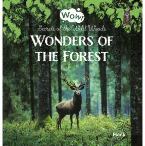 Wonders of the Forest