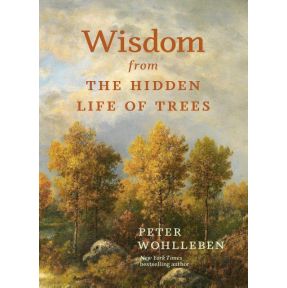 Wisdom from the Hidden Life of Trees