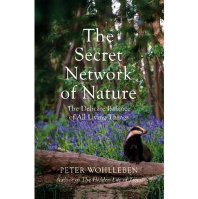 The Secret Network of Nature